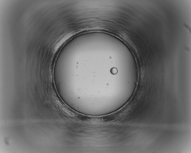 X0000100490789200806271235