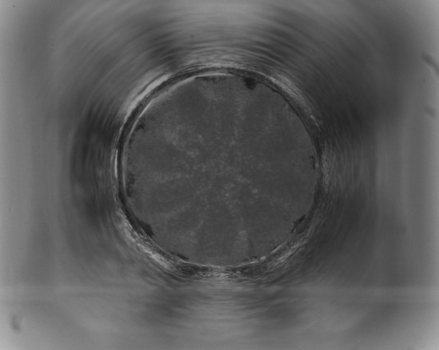 X0000100490790200806271235