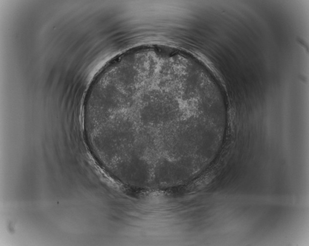 X0000100490791200806271235