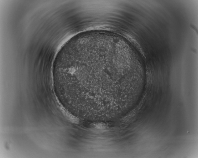 X0000100490792200806271235