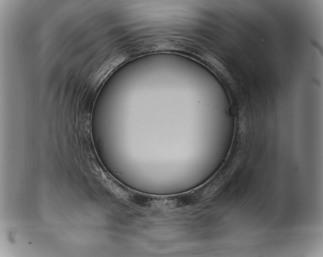 X0000100490793200806271235