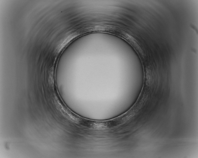 X0000100490794200806271235