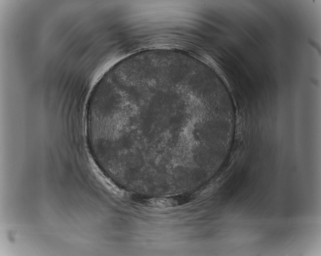 X0000100490795200806271235