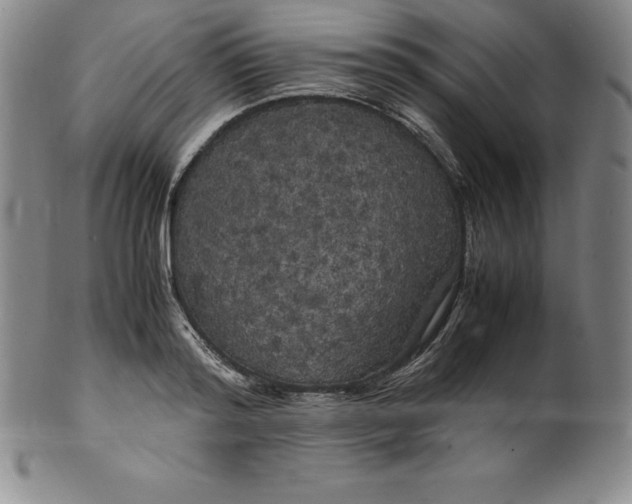 X0000100490796200806271235