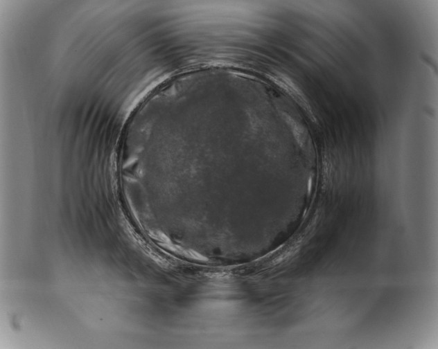 X0000100490798200806271235