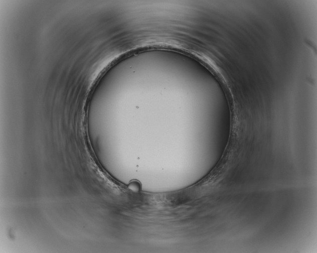 X0000100490799200806271235