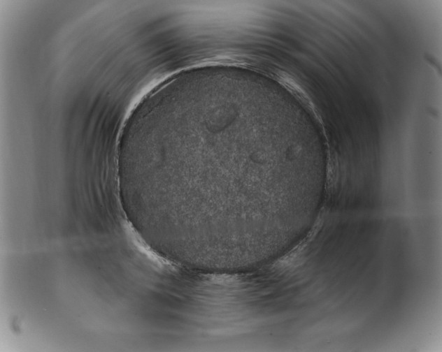 X0000100490800200806271235