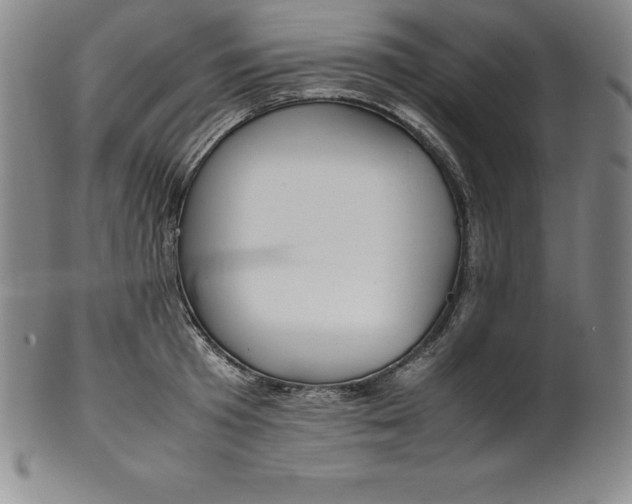 X0000100490801200806271235