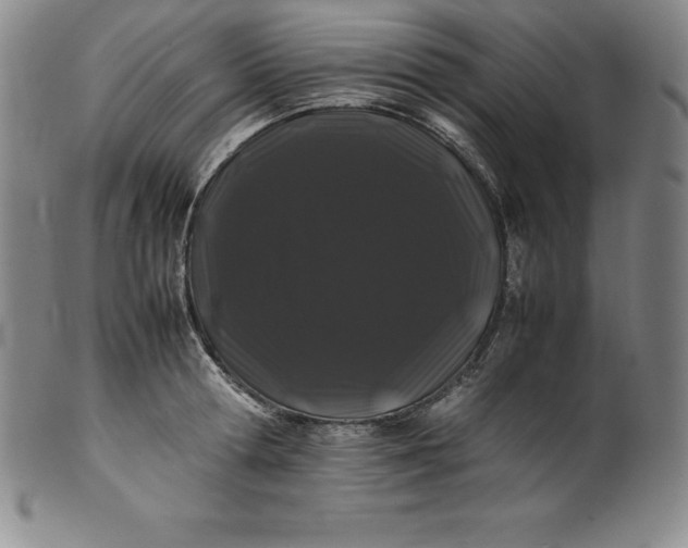 X0000100490802200806271235