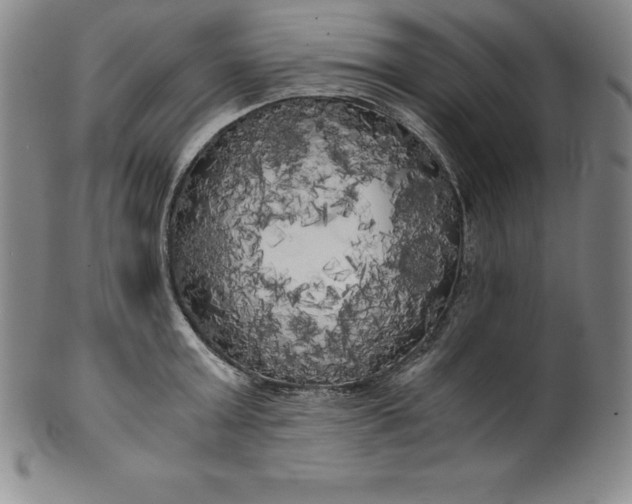 X0000100490803200806271235