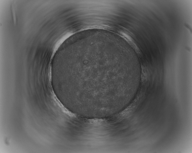 X0000100490804200806271235