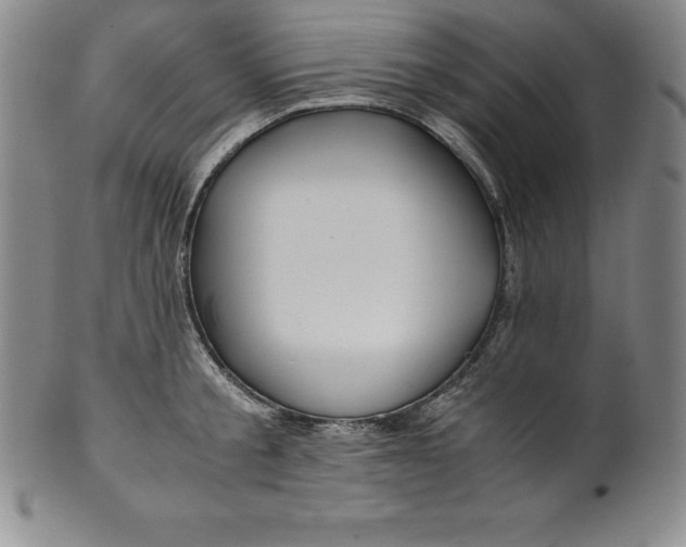 X0000100490805200806271235