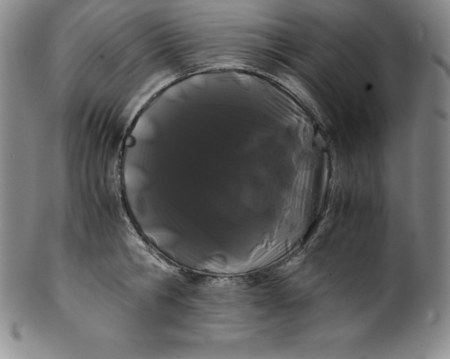 X0000100490806200806271235