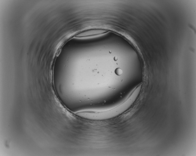 X0000100490807200806271235