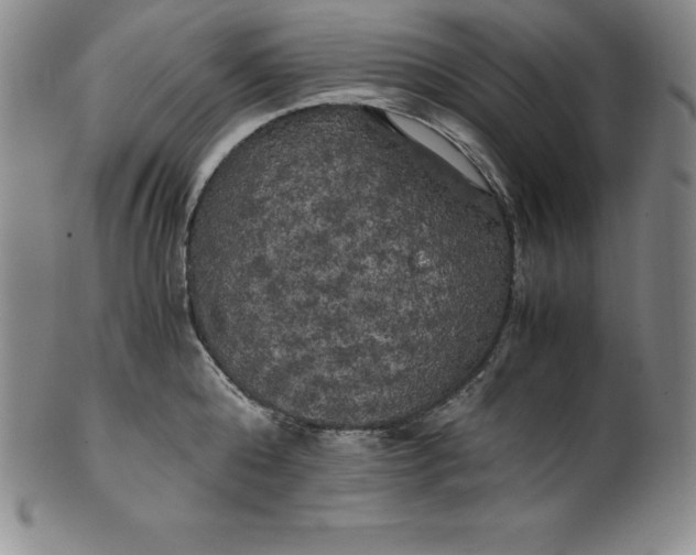 X0000100490808200806271235