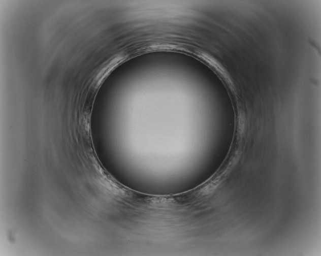 X0000100490809200806271235