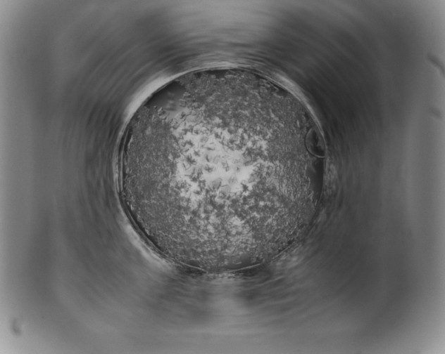 X0000100490811200806271235