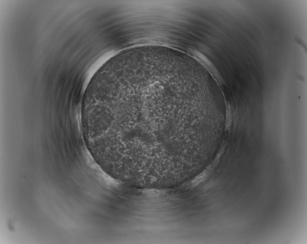 X0000100490812200806271235