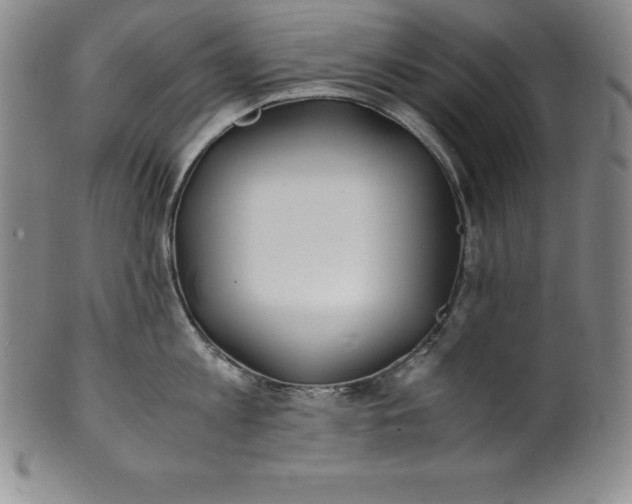 X0000100490813200806271235