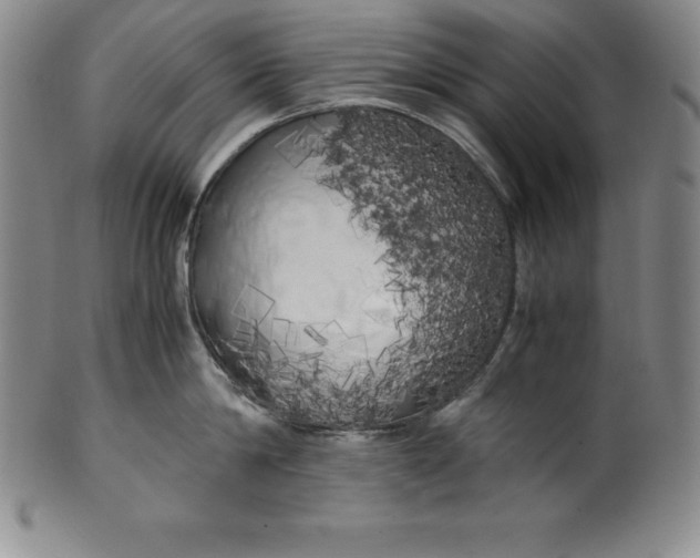 X0000100490814200806271235