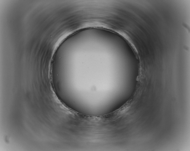 X0000100490815200806271235