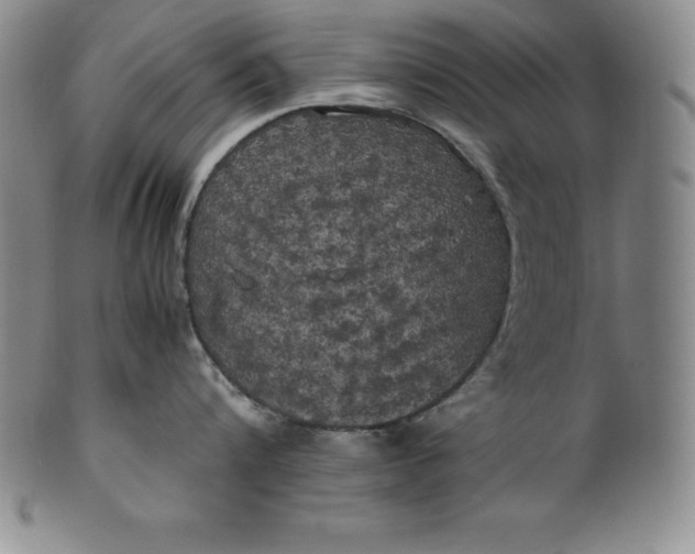 X0000100490816200806271235