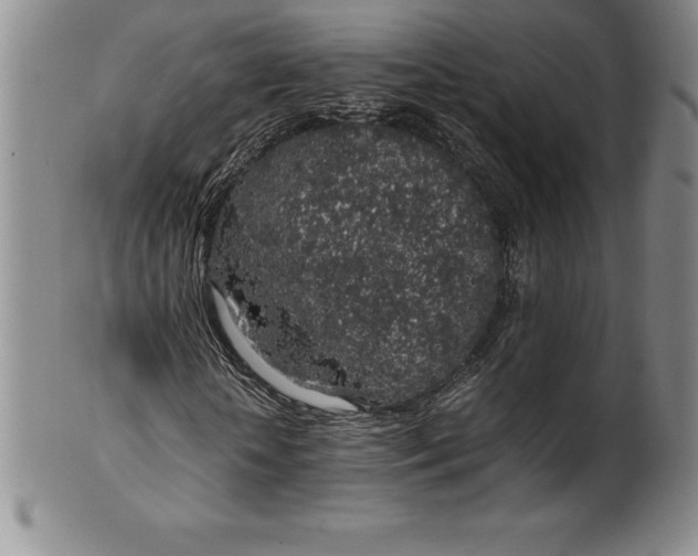 X0000100490818200806271234