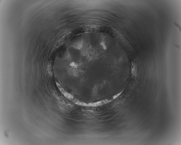 X0000100490819200806271234