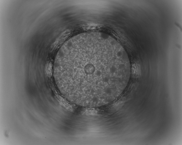 X0000100490820200806271234