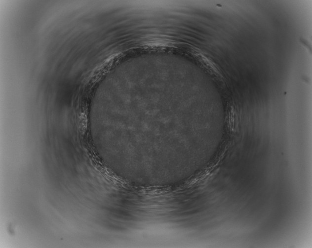 X0000100490821200806271234