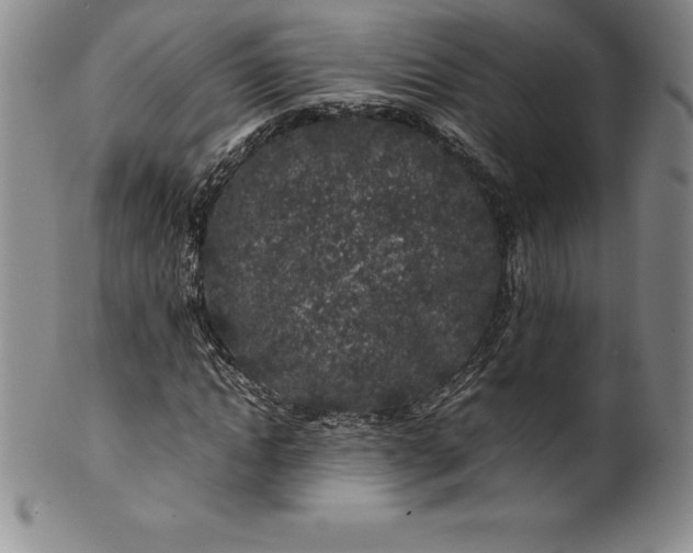 X0000100490822200806271234