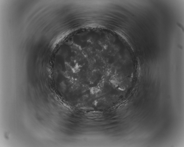 X0000100490823200806271234