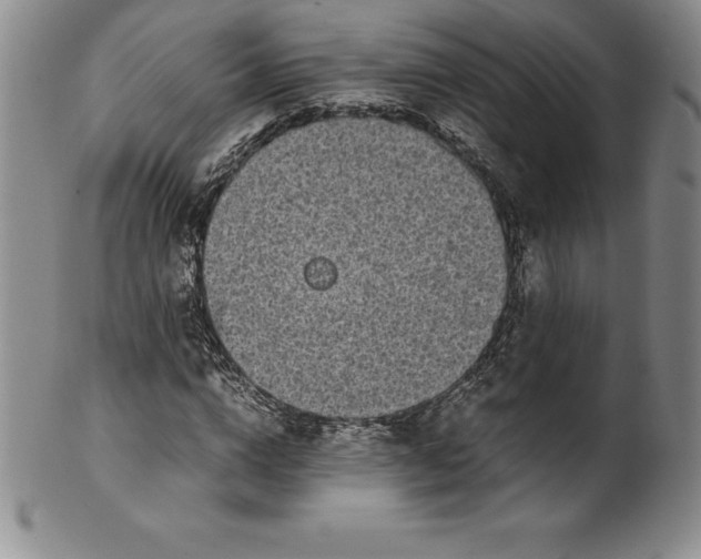 X0000100490824200806271234