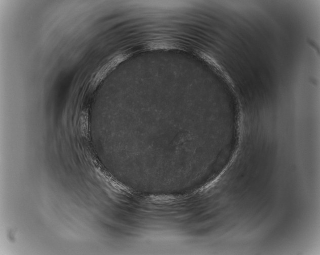 X0000100490825200806271234