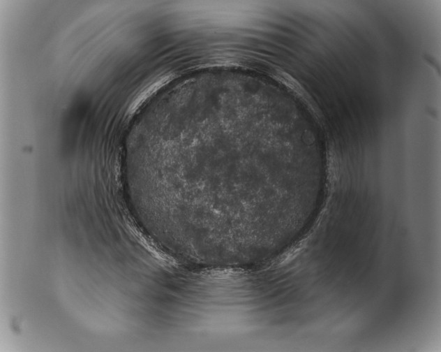 X0000100490826200806271234