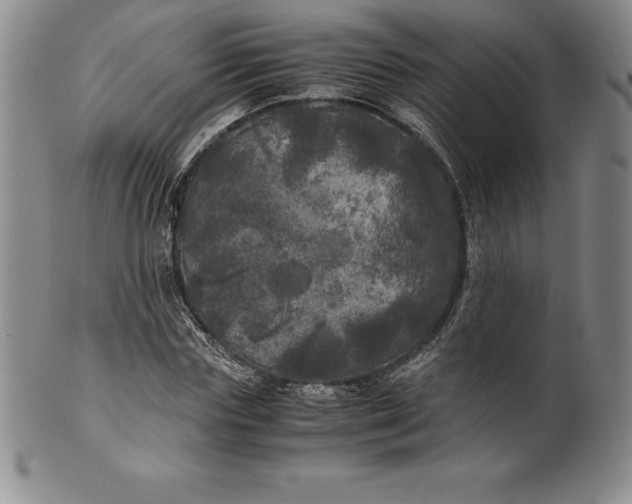 X0000100490827200806271234