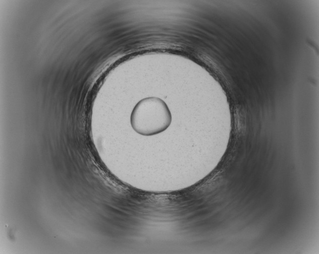 X0000100490828200806271234