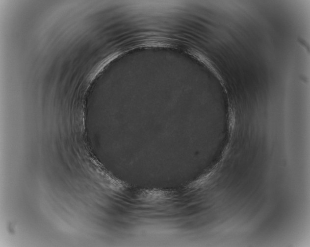 X0000100490829200806271234