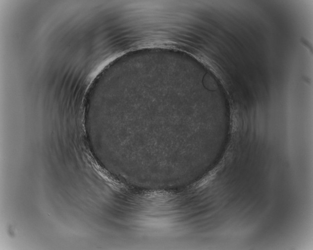 X0000100490830200806271235