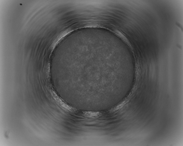 X0000100490831200806271235