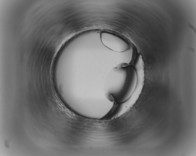 X0000100490832200806271235