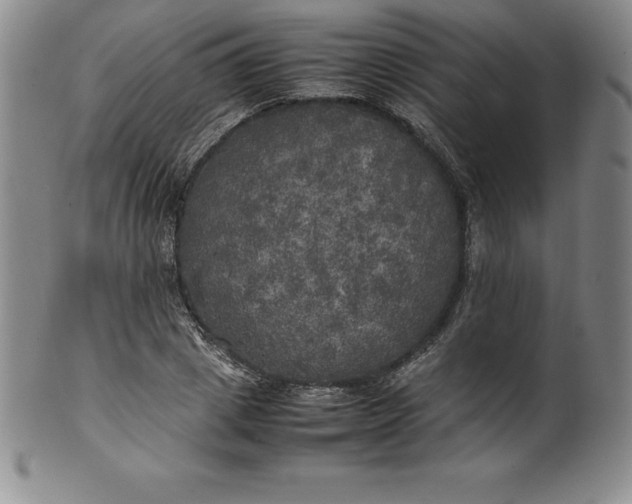 X0000100490833200806271235