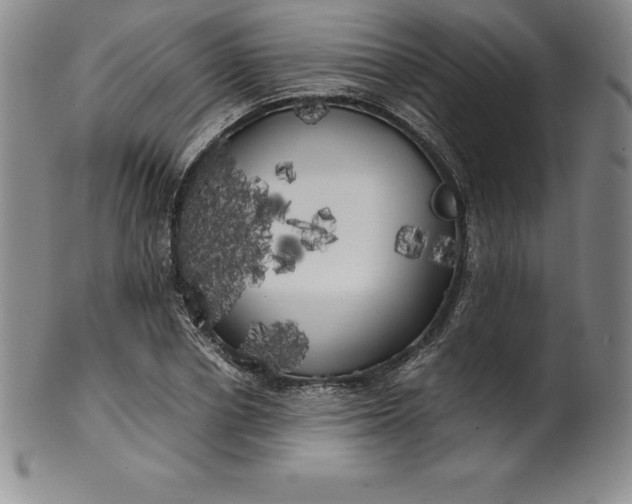 X0000100490834200806271235