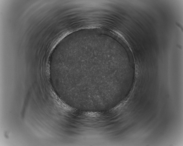 X0000100490835200806271235