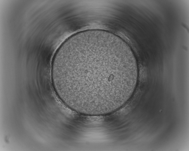 X0000100490836200806271235