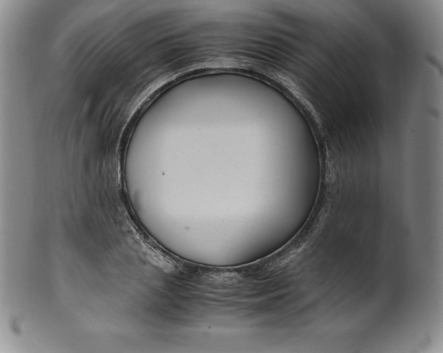 X0000100490837200806271235