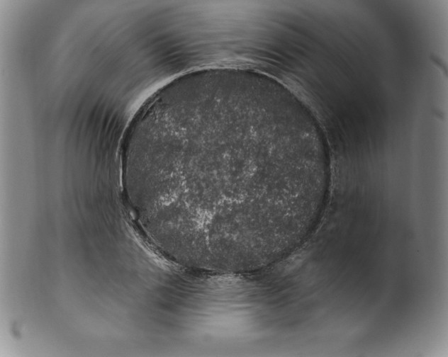 X0000100490838200806271235