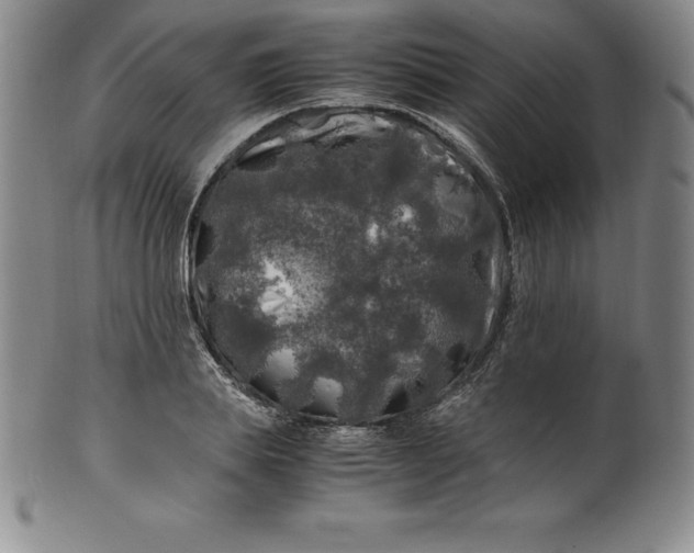 X0000100490839200806271235