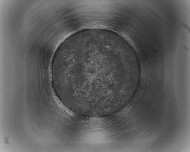 X0000100490840200806271235