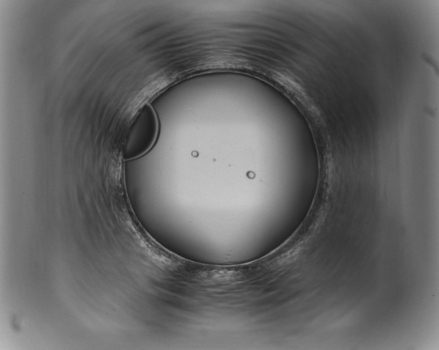 X0000100490841200806271235